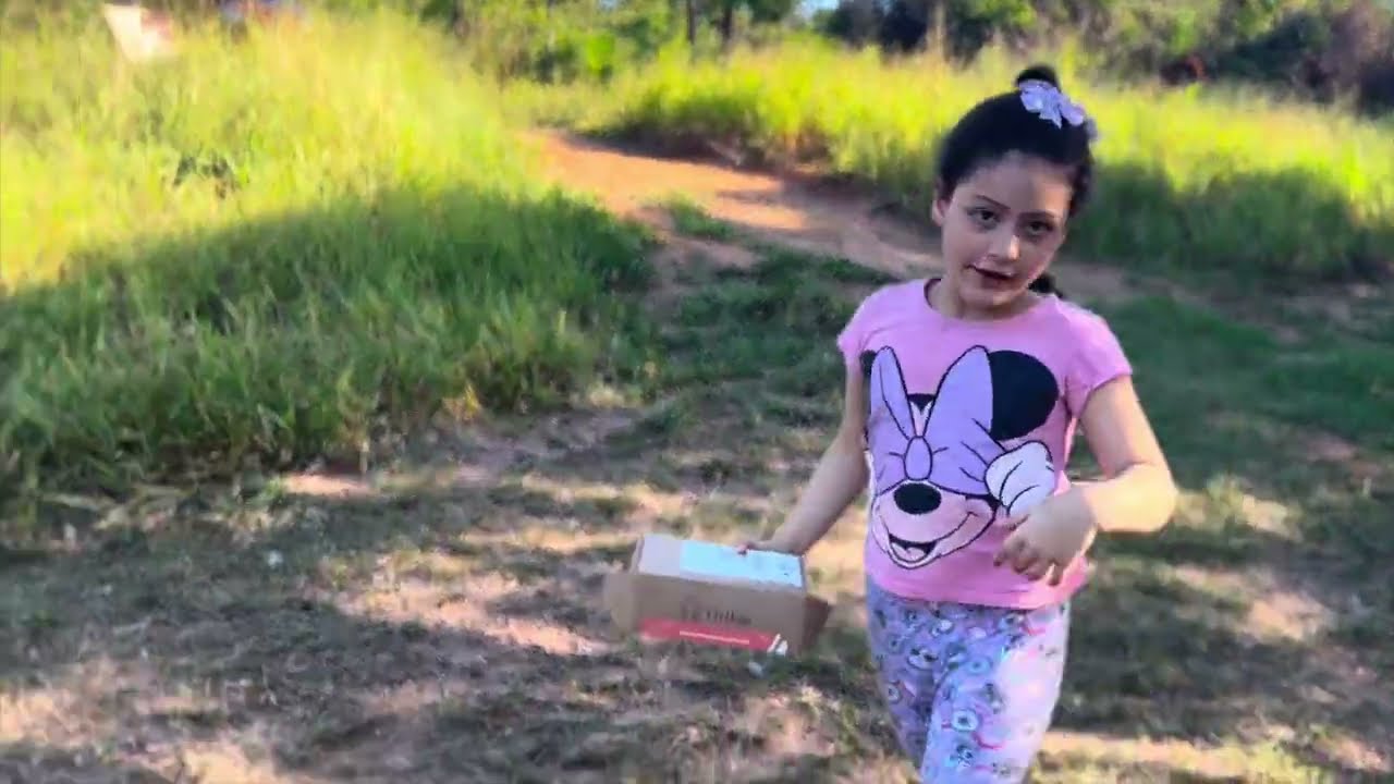 Domingo tranquilo, com 2 visitinhas inesperadas. Fatiamos o eucalipto. LIMPEZA NA CHACRINHA PARTE 35