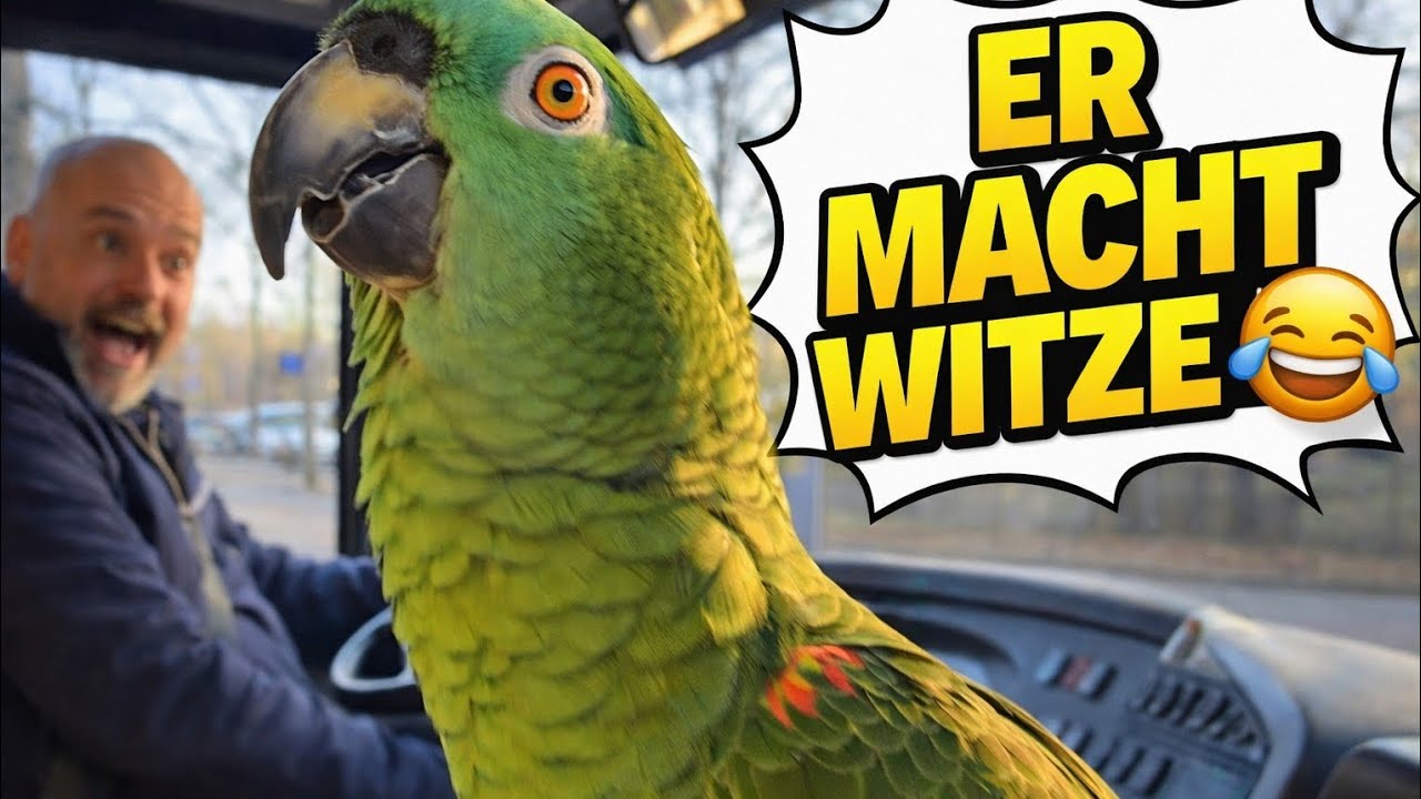 Dieser Papagei erzählt Witze – einfach genial! 🦜😂