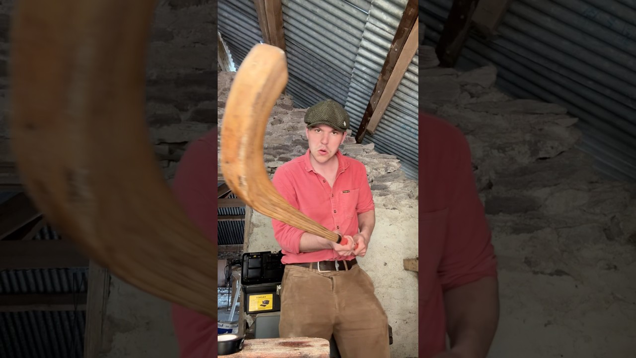 Hurling and Shinty #hurling #shinty #sports #game #traditional #restoration #ireland #scotland
