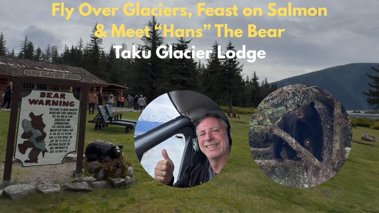 Seaplanes, Glaciers & Bears. Oh My! A Great Solo Cruise Excursion 