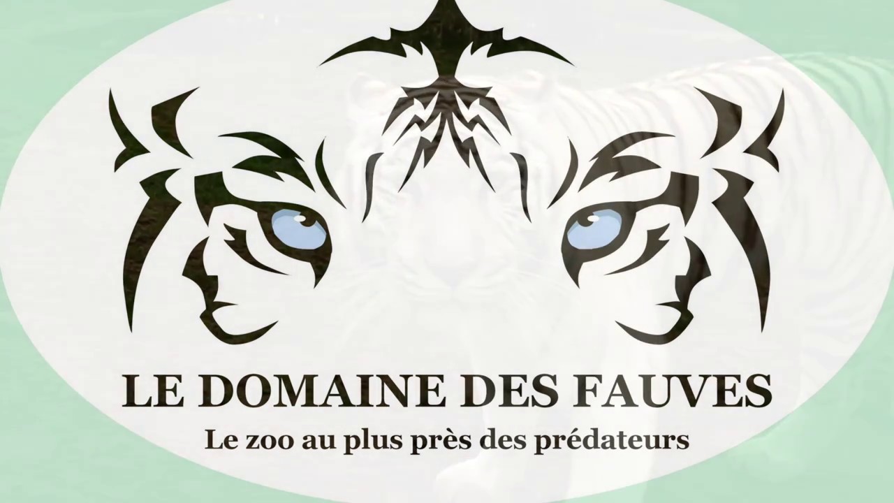 Soigneur Animalier au Quotidien -  Le Domaine des Fauves