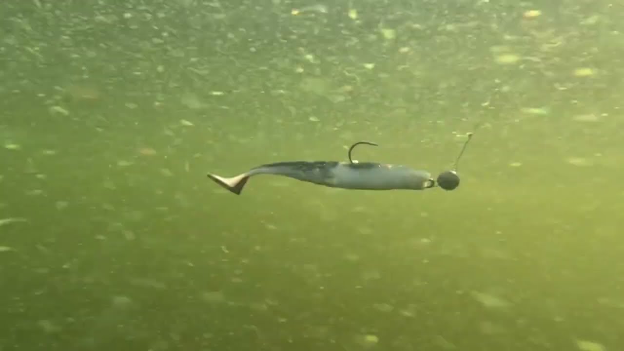 Properbaits Vibrotail - игра приманки на двойном крючке