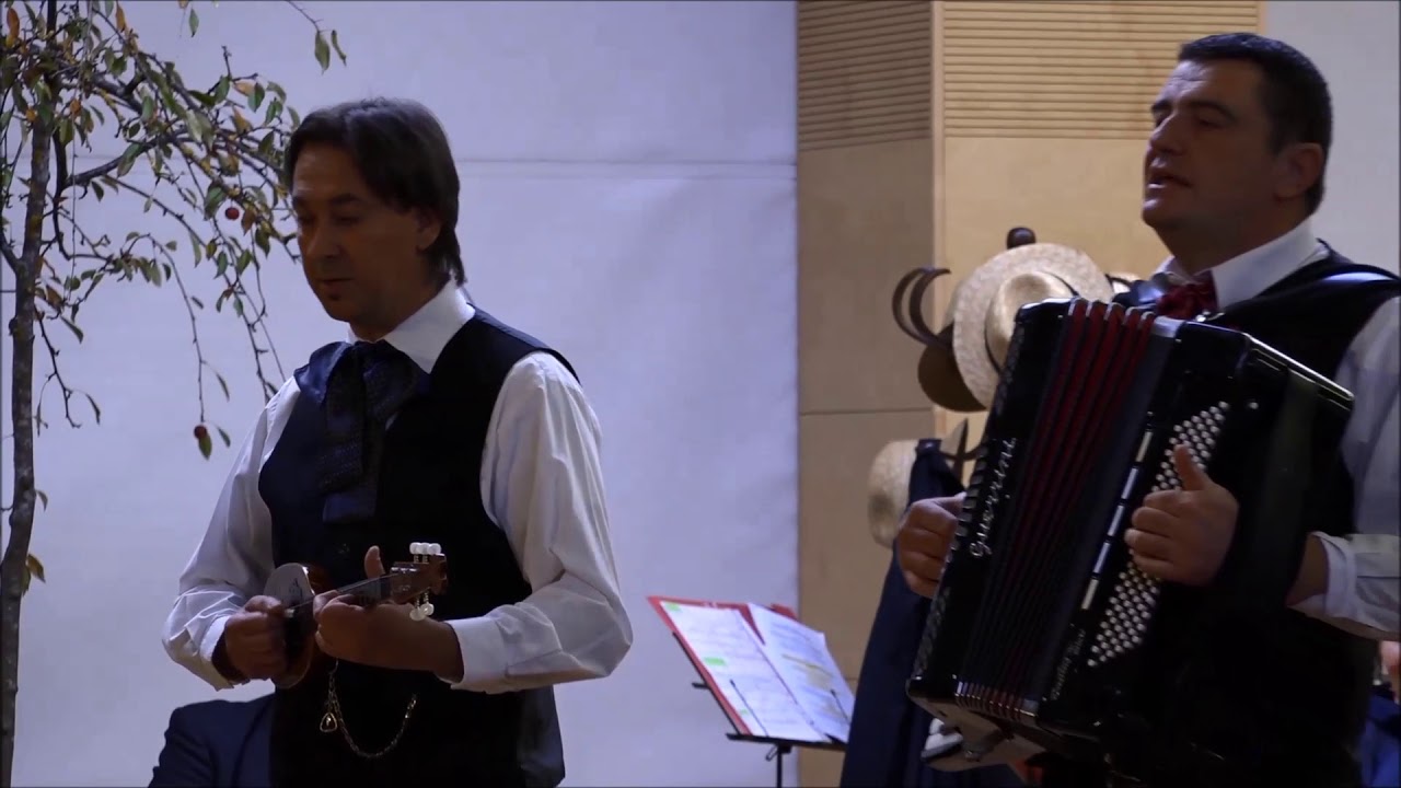 Izađi iz moje čaše - Zoran Šijaković & Ensemble DANICA