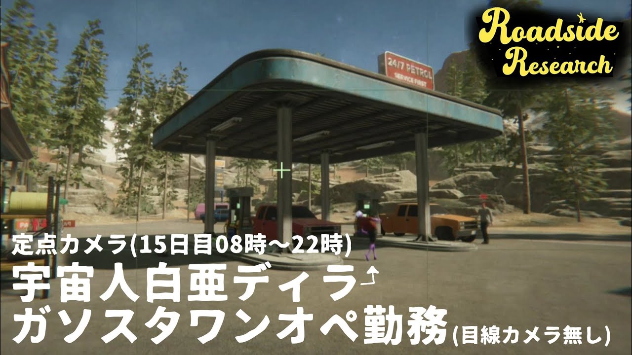 【定点カメラ】ガソリンスタンドワンオペ勤務【Roadside Research】