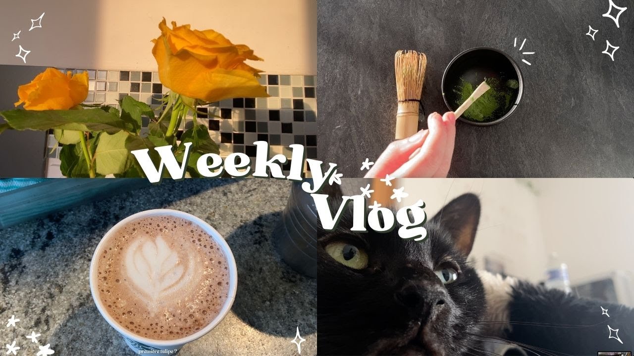 Lecture, latte art, véto [Weekly vlog] ˙✧˖°☕ ༘ ⋆｡ ˚