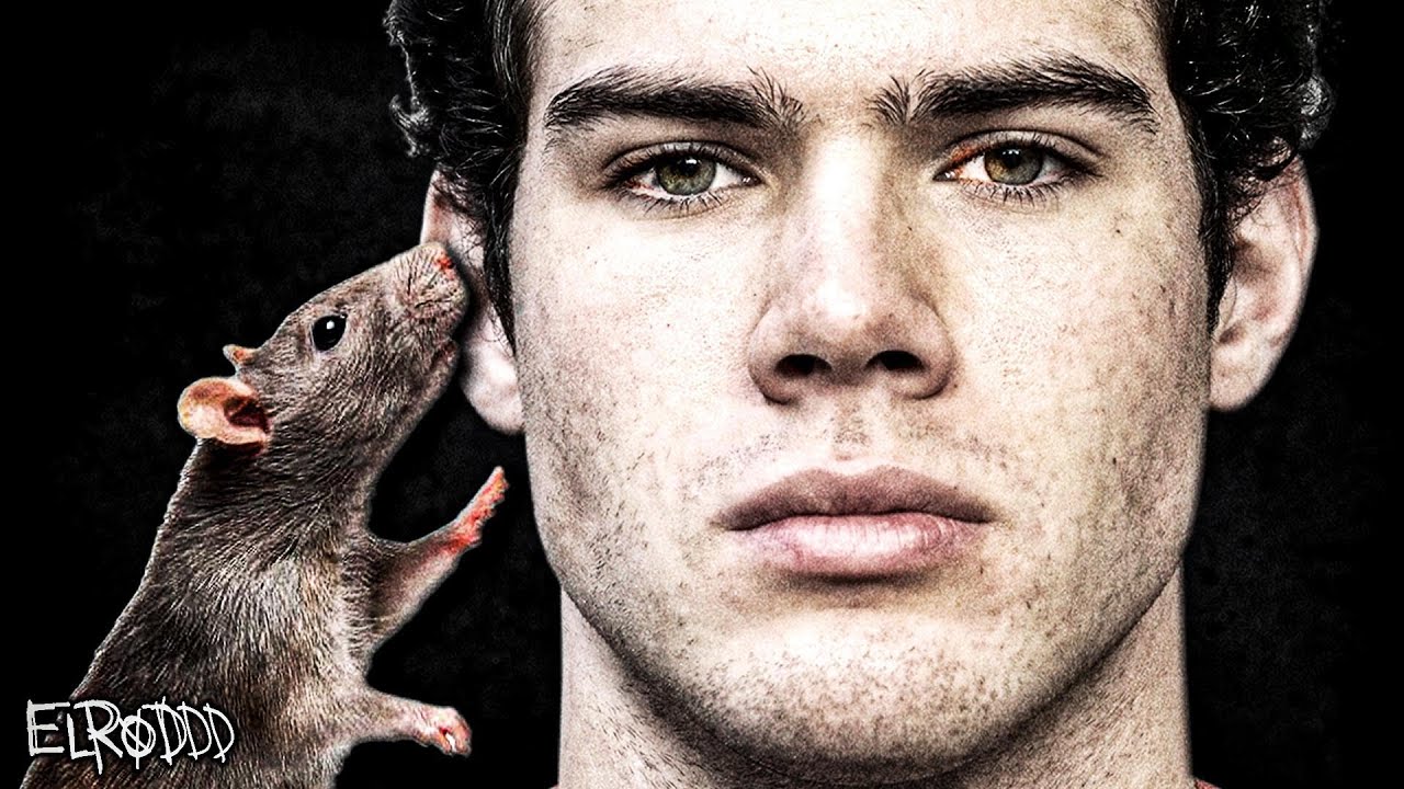 Looksmaxxers Are Rats