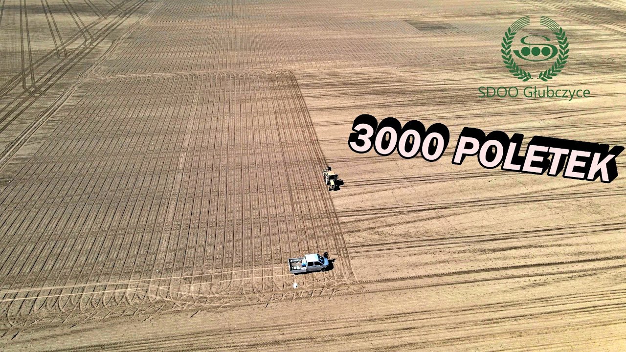 Siew SOI i BURAKA CUKROWEGO 🚜 SDOO Głubczyce 👨&zwj;🌾