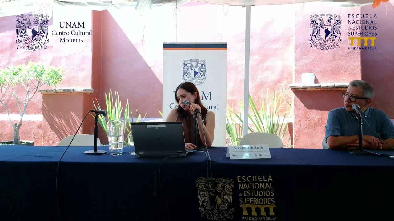 Conferencia: Lesión Cerebral Traumática en el cerebro en desarrollo