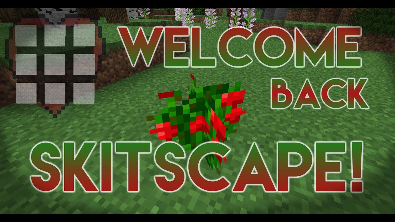 He Is Back! :D (Welcome Back Video For SkitScape)
