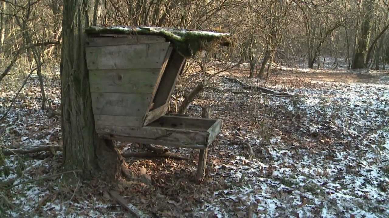 Etetik a vadakat