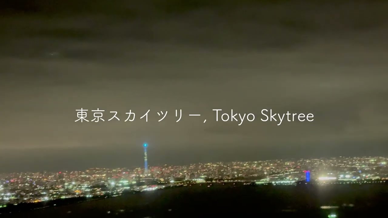 2025年6月 日本航空 588便 東京国際空港 Runway 23 夜間着陸映像, video of approach to Tokyo Int'l Runway 23, Jun, 2025