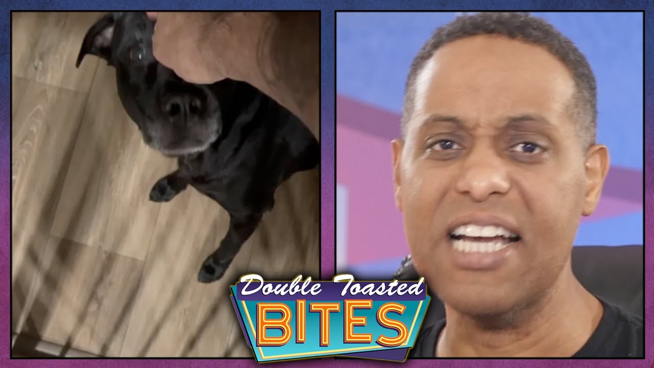 HOW KOREY RECONCILED WITH A RIVAL DOG | Double Toasted Bites