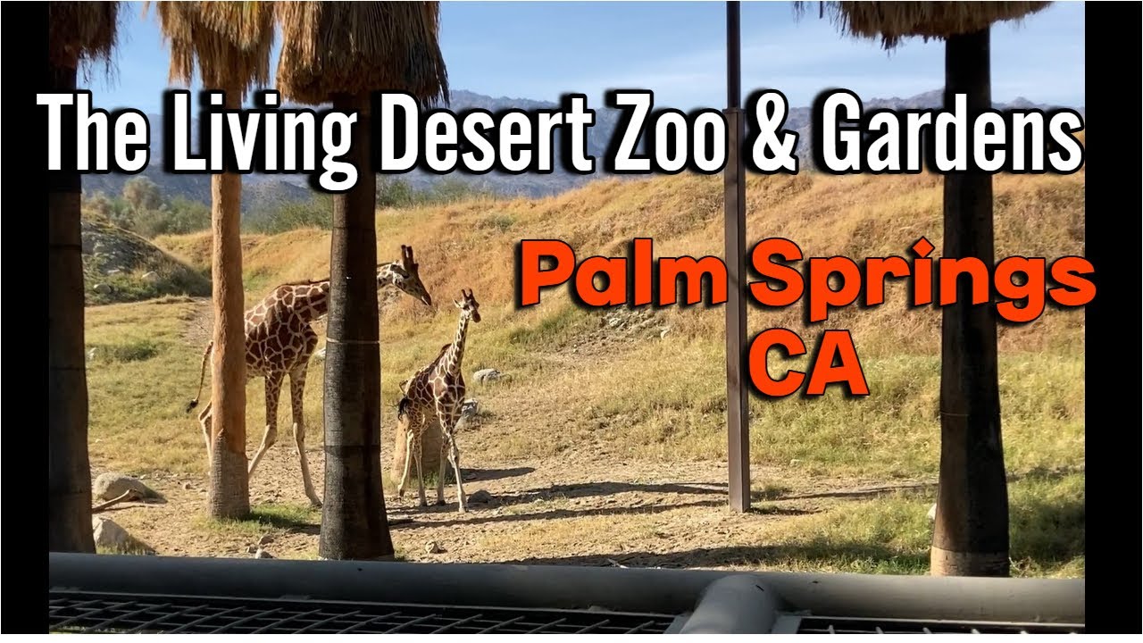 TOP 5 Exotic ANIMAL HABITATS in Living Desert Zoo and Gardens PALM SPRINGS CA
