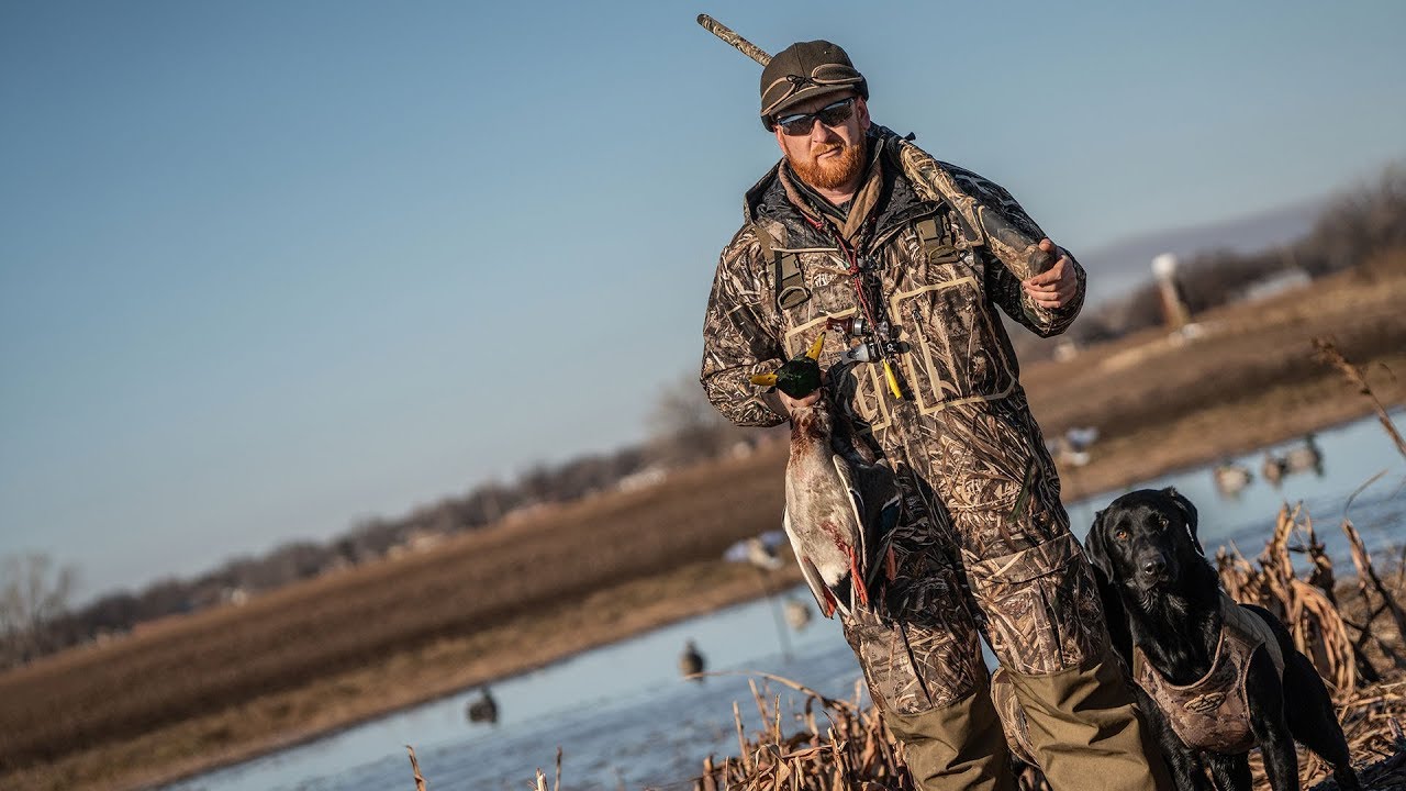 Duck Hunting Dogs: 