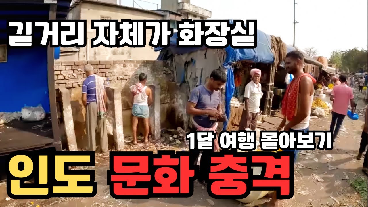 “남인도는 북인도와 다르다” 실체를 확인하게 되는 남인도 여행의 진실 [몰아보기]