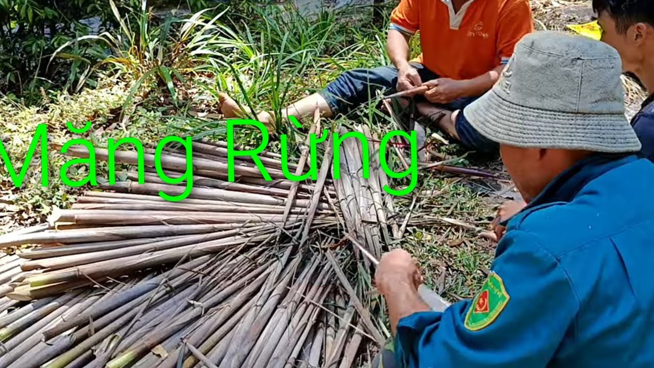 Du Xuân Đi Lấy Măng Rừng Trái Mùa Mùng 6 Tết 
