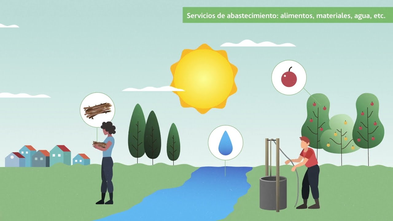 &iquest;Qu&eacute; son los servicios ecosist&eacute;micos y por qu&eacute; son vitales para el ser humano? | ACCIONA