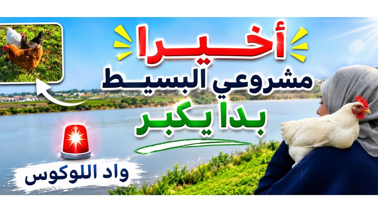 شوفوا حال واد اللوكوس😱#القصر_الكبير، مشيت خرجت🐔يتشمسو يا ربي يحفظنا #االمغرب #فلوق #vlog #فلوغ 