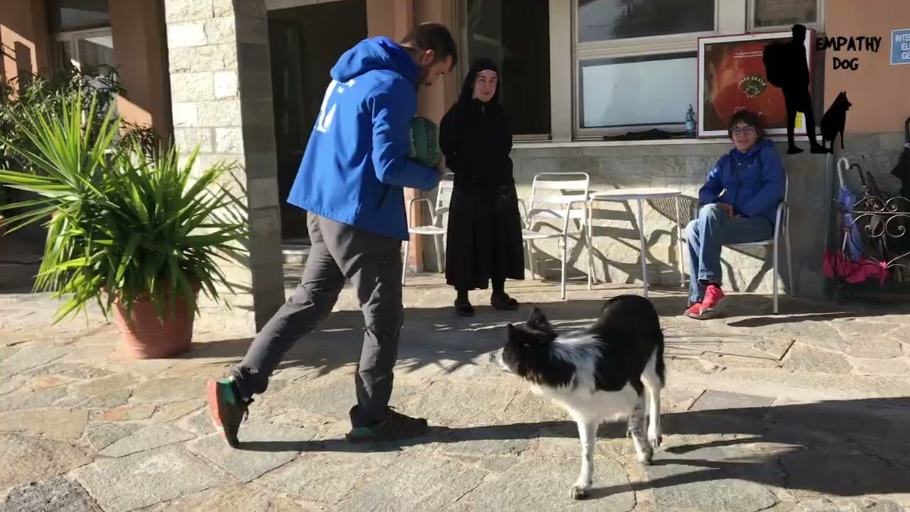 Vuoi avere un cane educato? Allora guarda questo video!