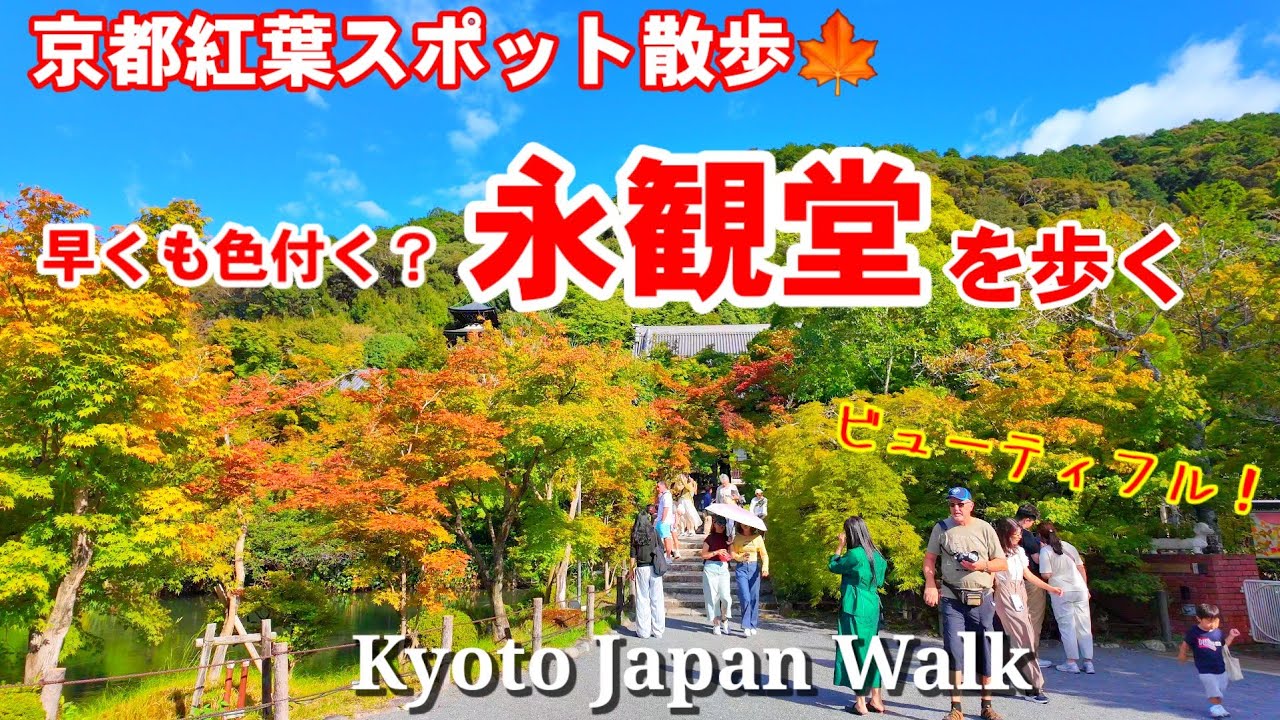 10/9(水)外国人観光客にも人気の紅葉スポット🍁色付き始めた永観堂を歩く【4K】Kyoto Japan Walk