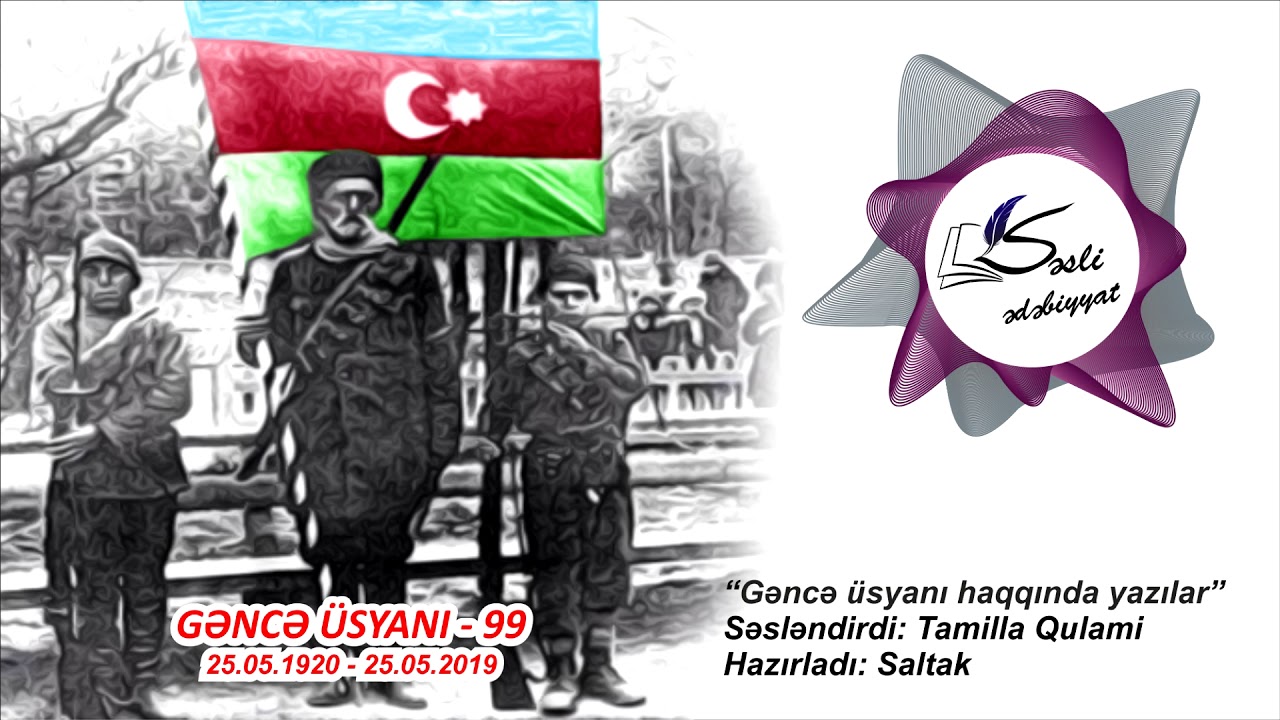 Gəncə üsyanı haqqında yazılar