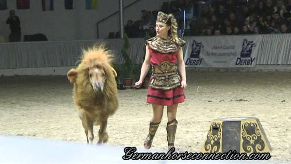 Loewe ist los VERFeb 12