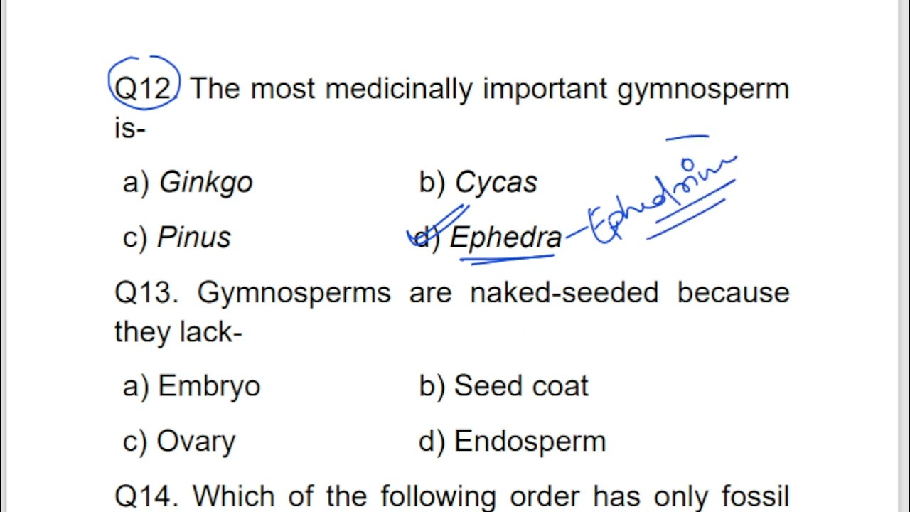 GYMNOSPERM MCQ||NEET||CUET||TGT||PGT||Biology MCQ||Life Science Classes||