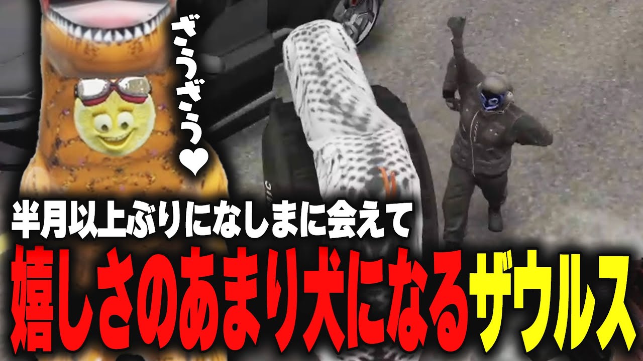 【ストグラ】半月以上ぶりにボスのなしまと会えて興奮が止まらないザウルス【柳瀬つん/つんザウルス/切り抜き】