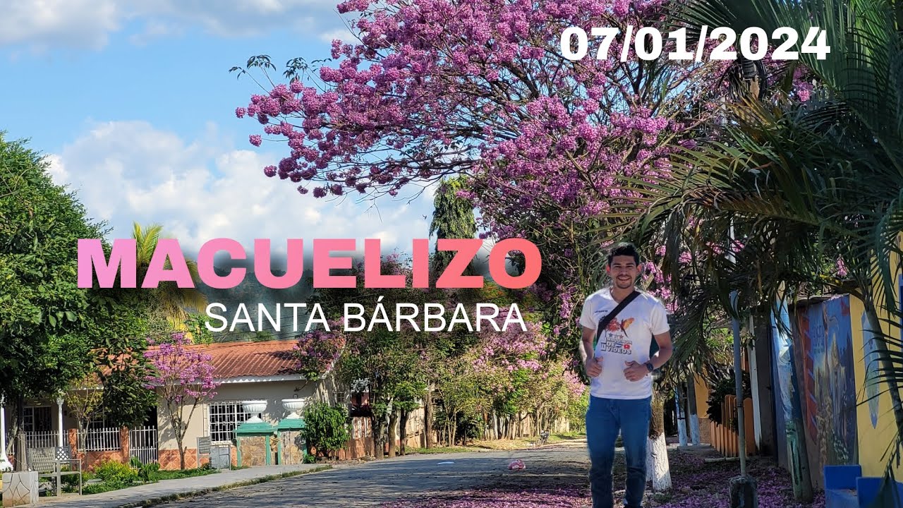 Macuelizo Santa Bárbara 2024  Árbol De Macuelizo, Azacualpa Valle. Lugares Muy Lindos, Hermoso 💚