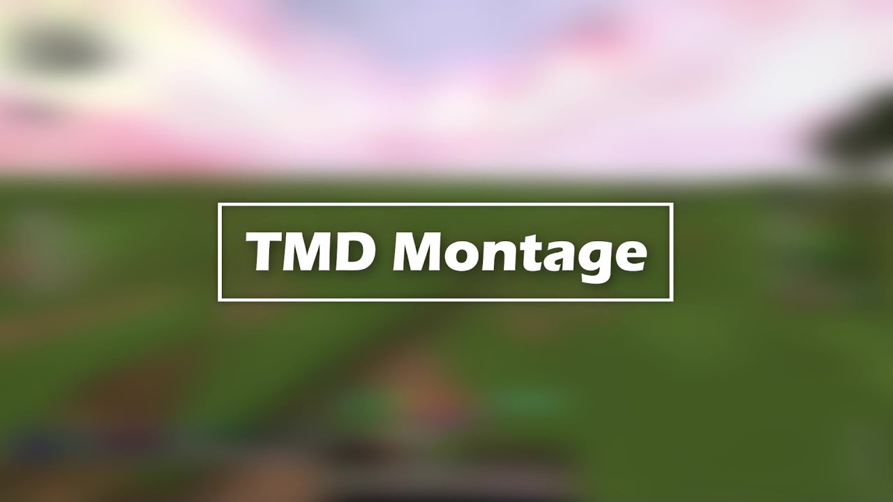 Tmd Montage #1