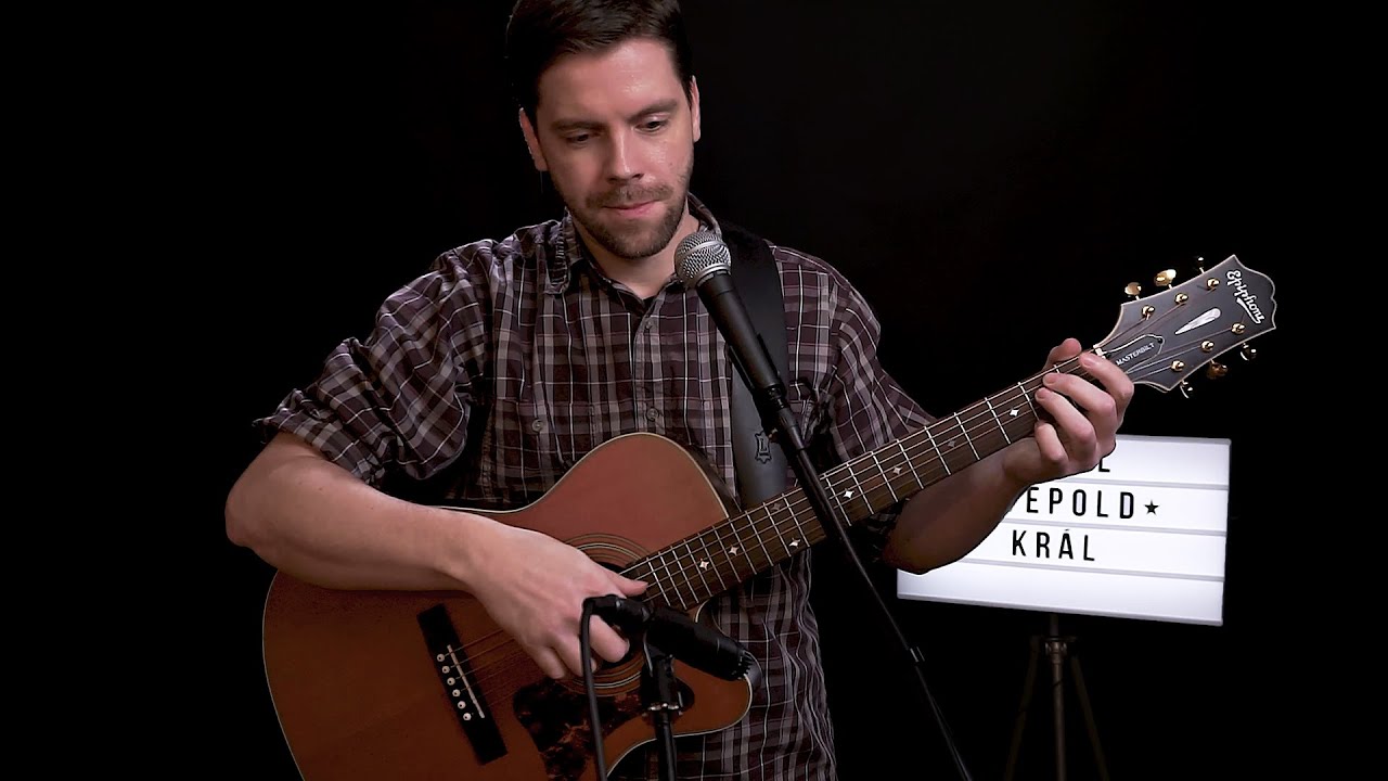 Karel Diepold - Král #cover