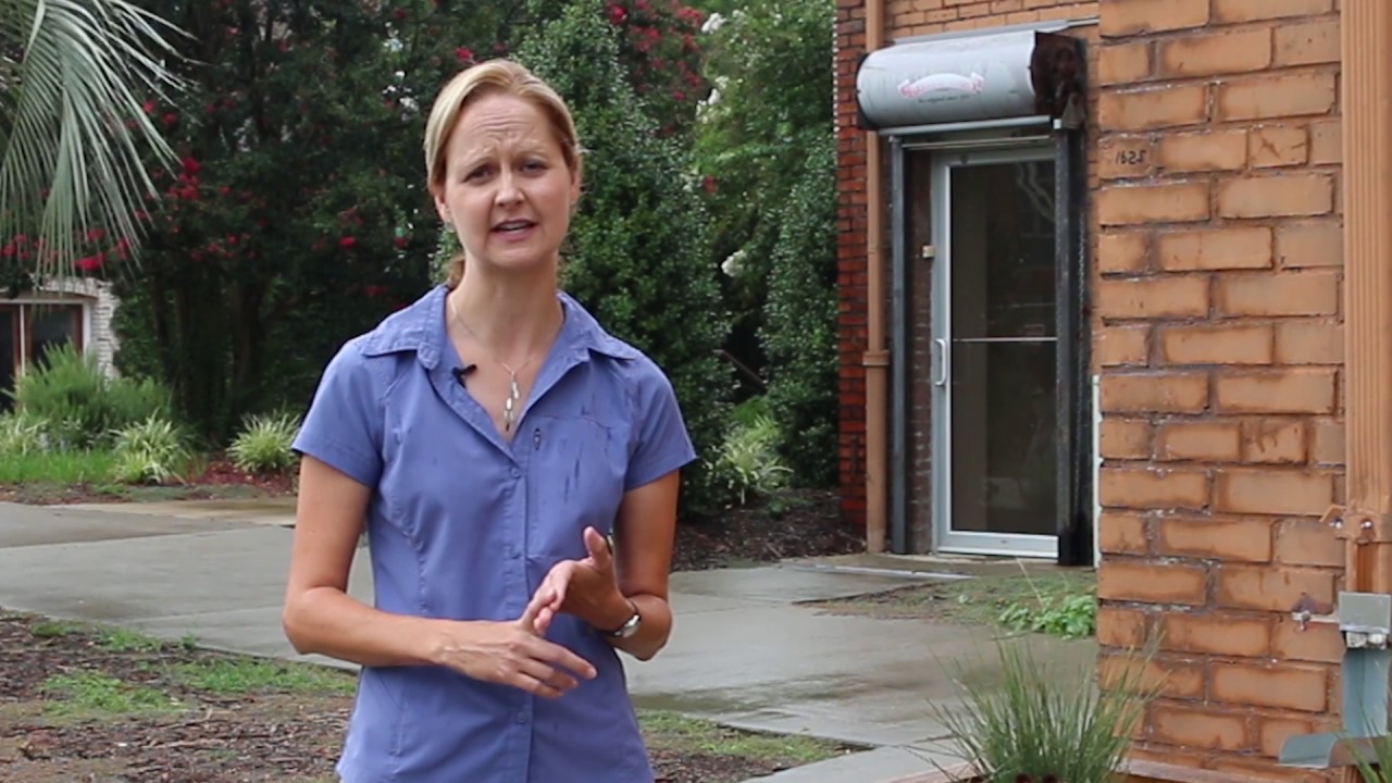 Downspout planter boxes reduce urban water pollution