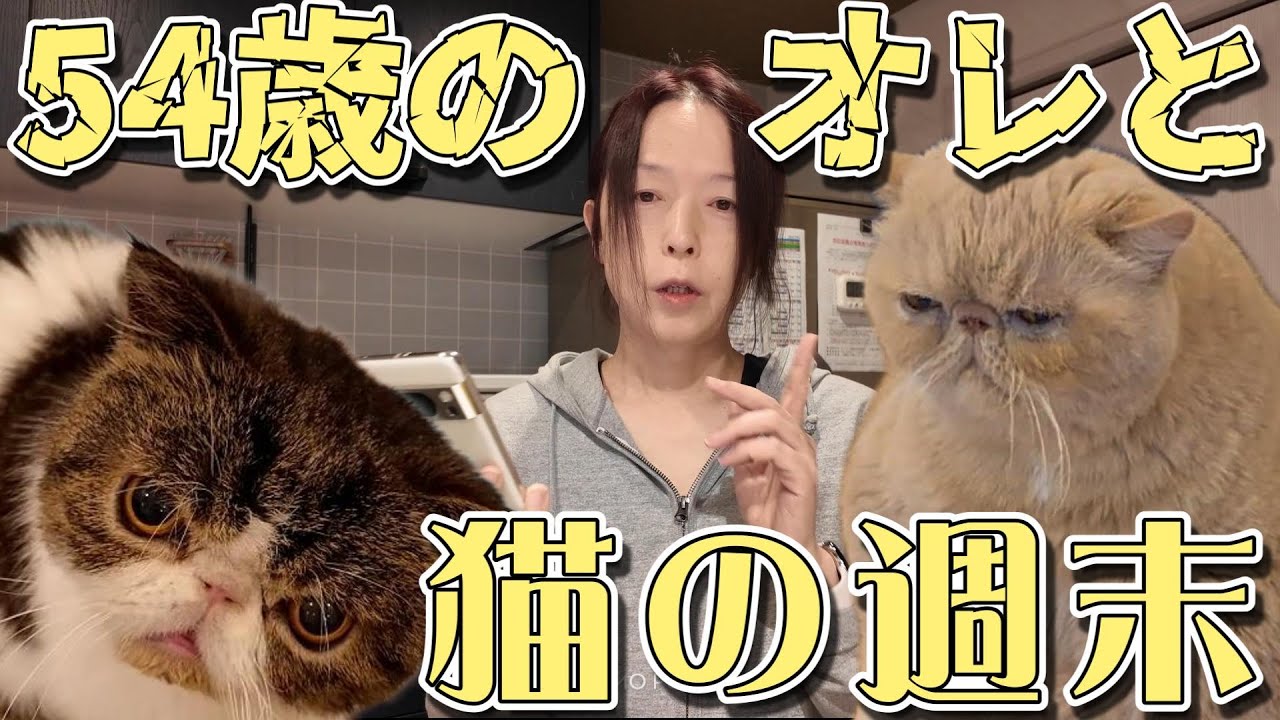 【54歳の週末】猫と僕の週末【嫁ちゃん不在の夜】