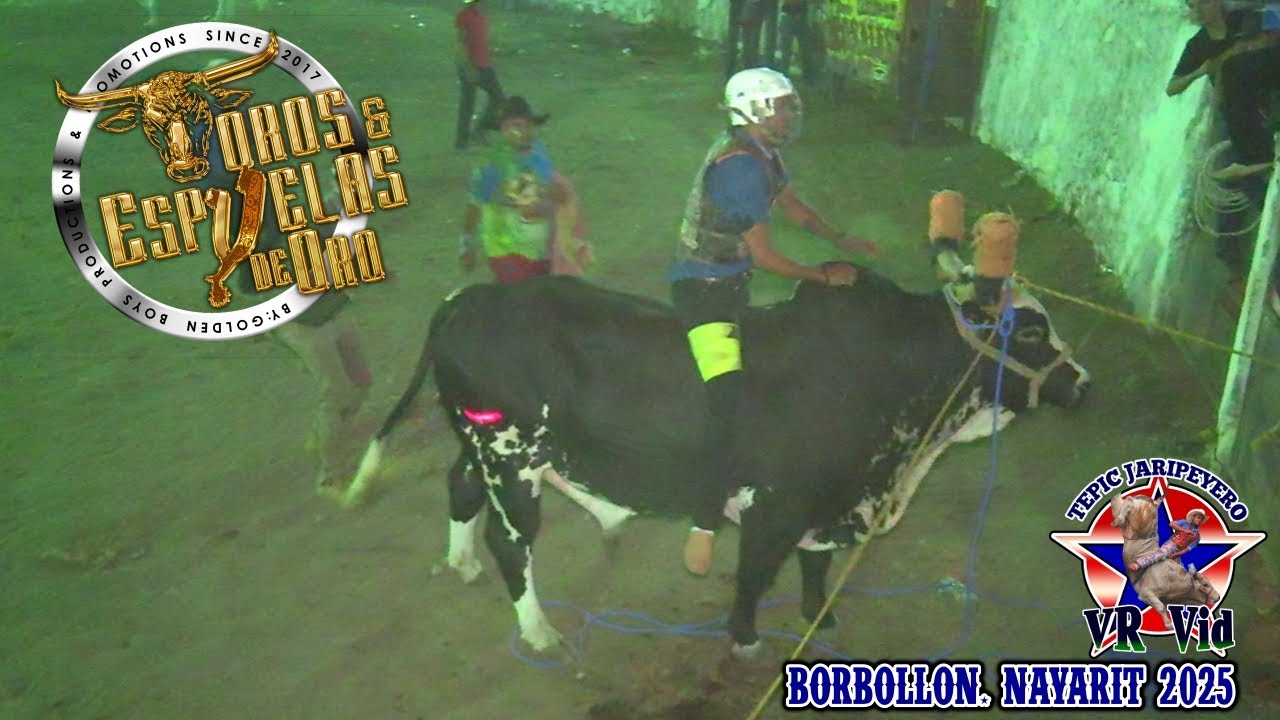 ¡¡¡ESPECTACULAR FINAL!!! TORNEO TOROS Y ESPUELAS DE ORO EN BORBOLLON 2025