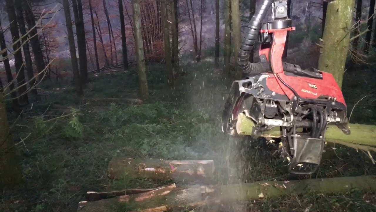 Komatsu 931.1 tête 365.1 en 3ème éclaircie de Douglas
