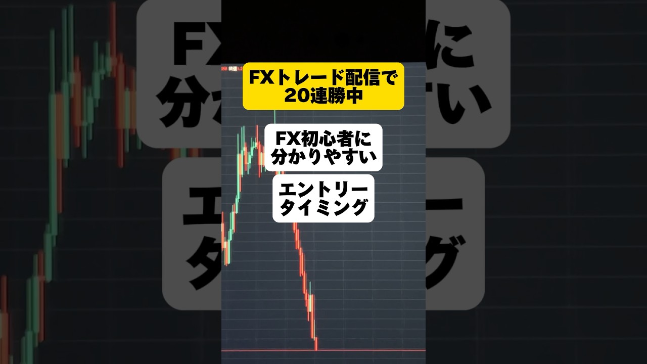 【FX】初心者に分かりやすいエントリータイミング #FX #投資 #副業