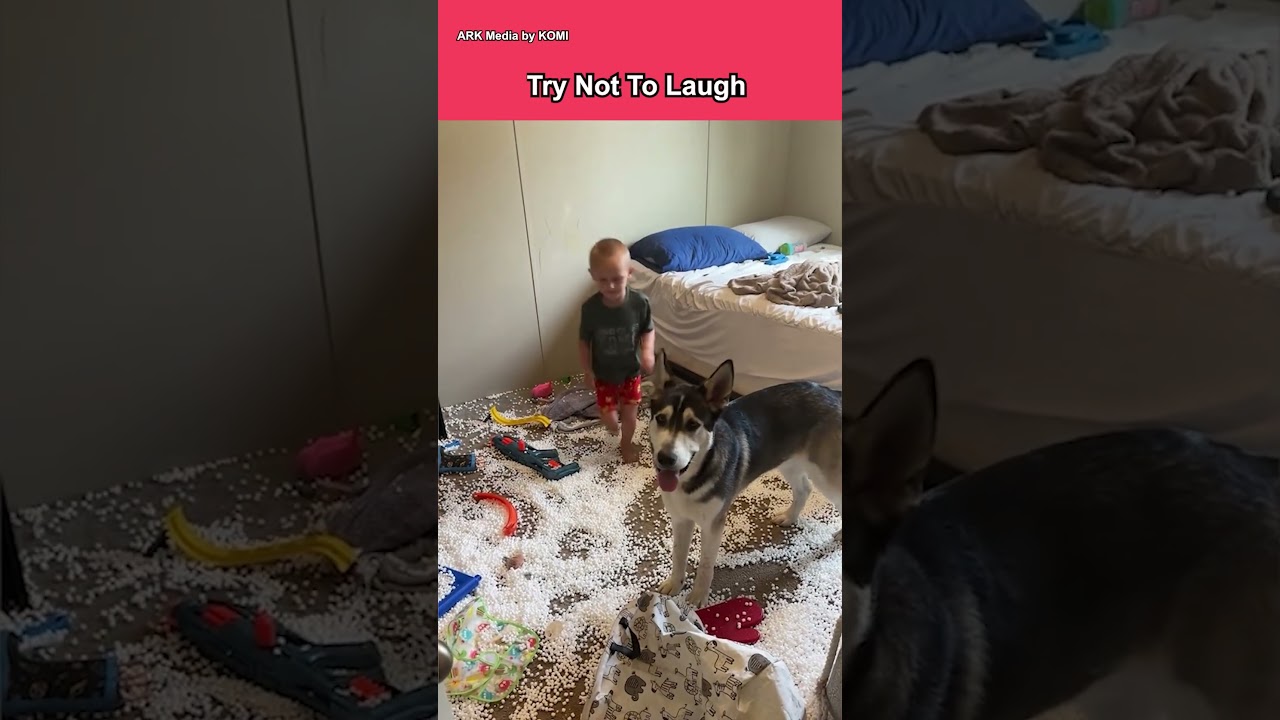 Try not to laugh: Kids vs animals 😂