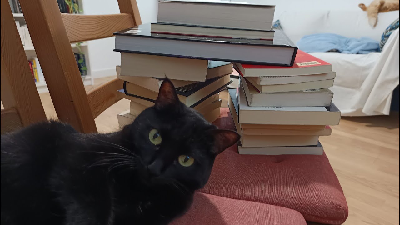 Resumen de lecturas de medio año, 2025