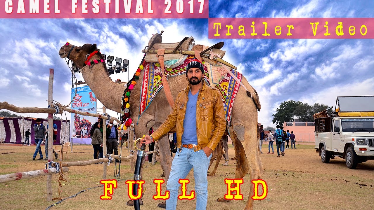 CAMEL FESTIVAL TRAILER VIDEO 2017 | FULL HD | BIKANER |INDIA
