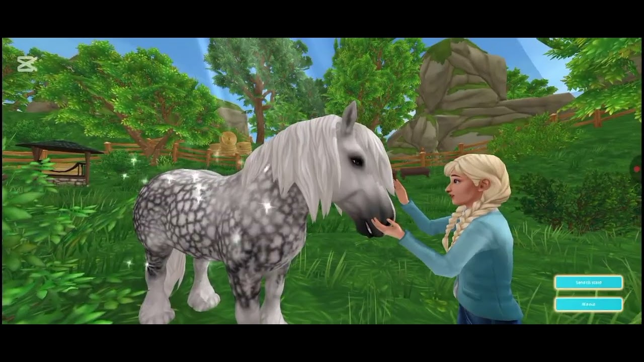 Køb en ny hest med mig🐎🐴 | dansk sso