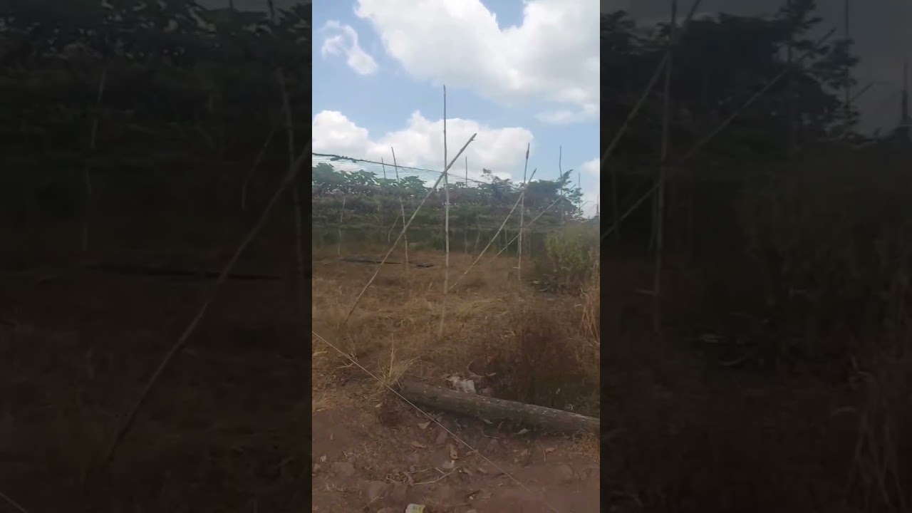 Đất 5ha Buôn Đôn 