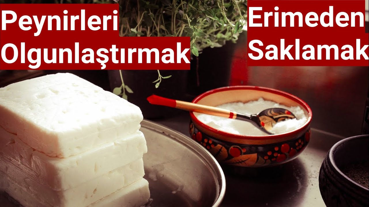 Peyniri Olgunlaştırma Adım 1-Salamura'da peynirler erimemesi için ne yapmalı?#peyniryolculuğu