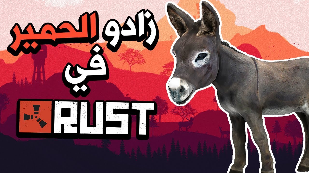 RUST ربيت حمار في