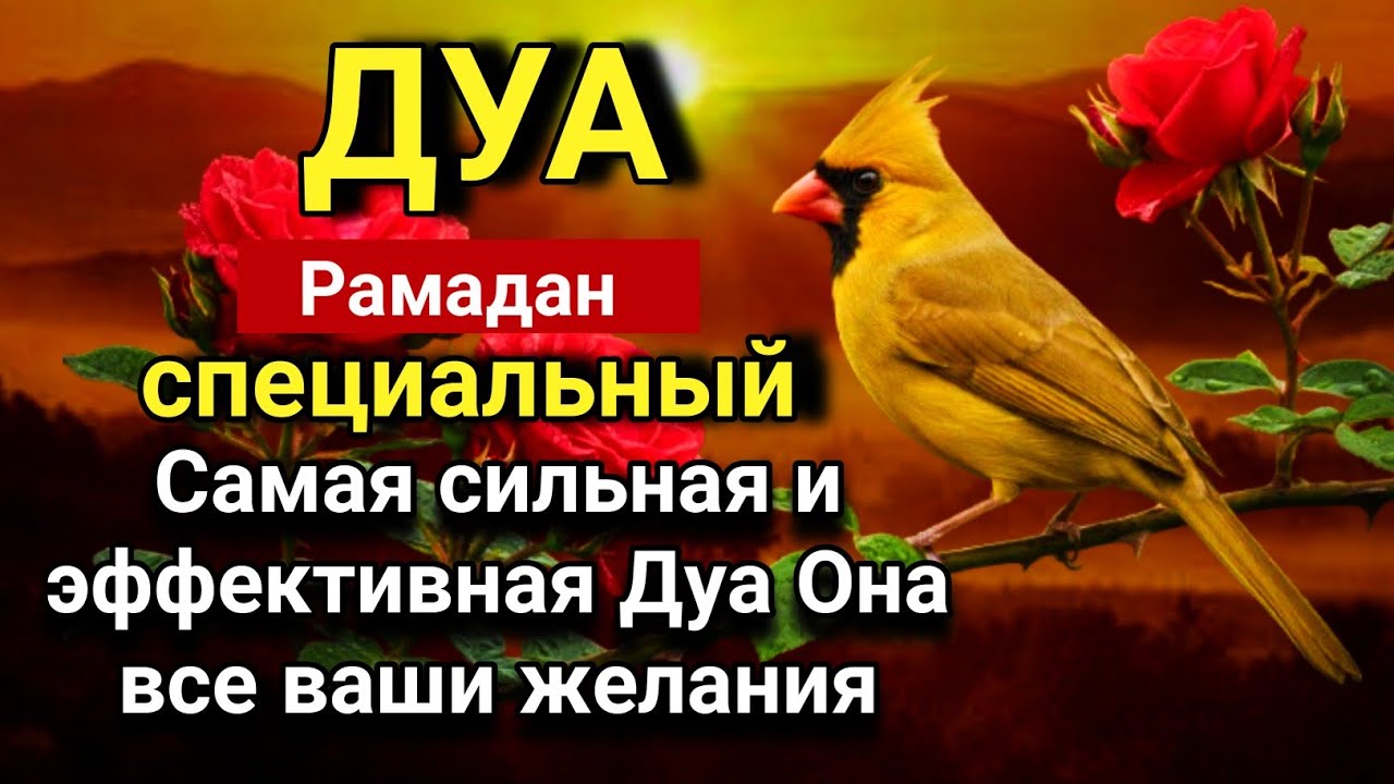 ☝️💖 Успей и слушай это дуа сейчас в месяце рамадан -Дуа которое стирает все грехи! 🤲✨💯