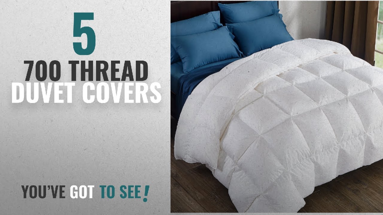 Top 10 700 Thread Duvet Covers [2018]: Puredown 800 Fill Power White Goose Down Comforter, 700