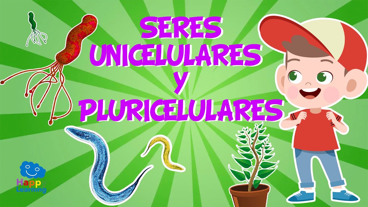 SERES UNICELULARES Y PLURICELULARES | V&iacute;deos Educativos para Ni&ntilde;os