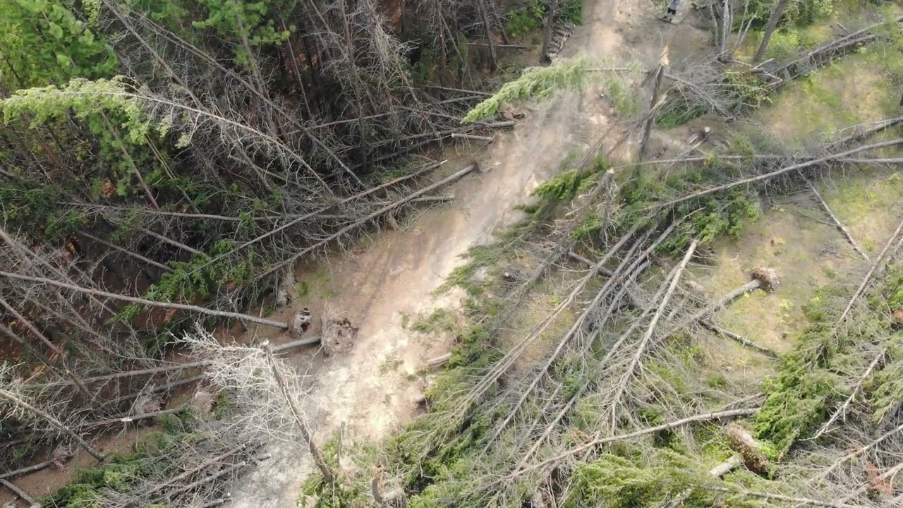 Hole 16 Judson Mine Disc Golf Course After 1st cleanup