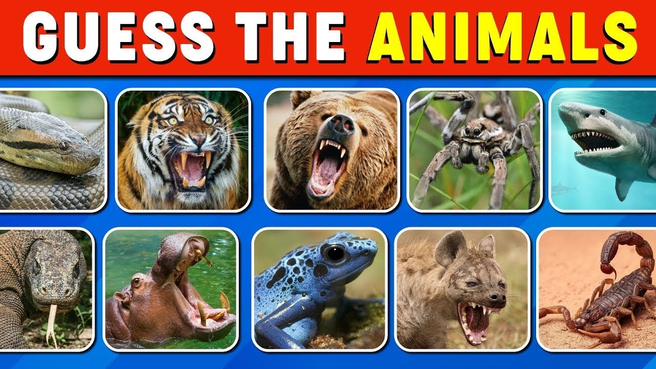 Guess The Animal By Their Photos 🐯 #challenge #games