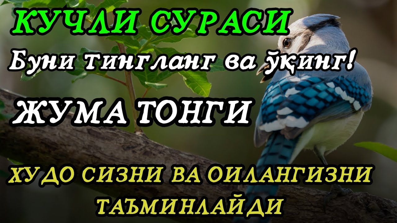 5 ДАҚИҚАДАН СЎНГ СИЗ КАТТА МИҚДОРДАГИ ПУЛНИ ОЛАСИЗ, ПУЛ ЧАҚИРИШ УЧУН СУРА