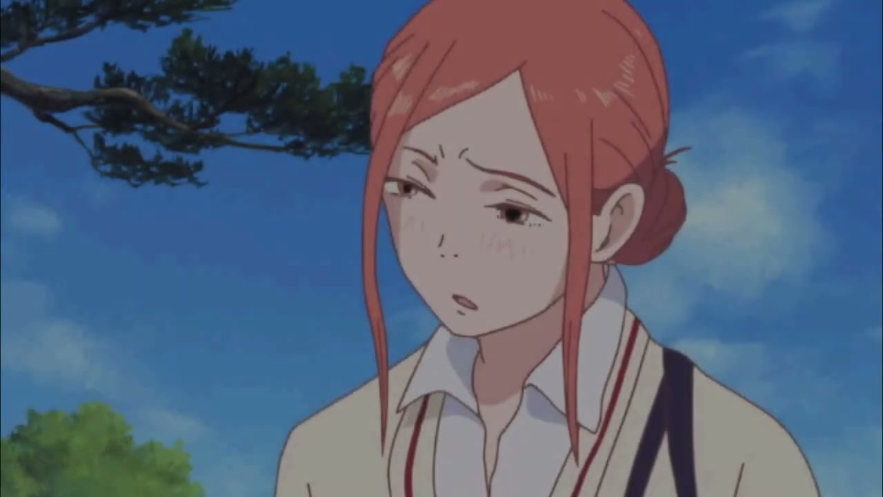 Lovely Complex Just so you know AMV